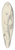 tefan Polkorb - Study of Standing Female Nude  From the Side 39.3 inch art pintail longboard deck