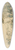 Thodore Chassriau - Drover with Oxen Pulling a Cart 39.3 inch art pintail longboard deck