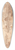 Thomas Allom - The House of a Chinese Merchant near Canton 39.3 inch art pintail longboard deck