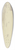 Thomas Rowlandson - Flu mit vielen Schiffen und einer Werft 39.3 inch art pintail longboard deck