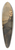 Thomas Sully - Jonathan F. Williams 39.3 inch art pintail longboard deck