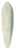 Truman Seymour - Panorama 39.3 inch art pintail longboard deck
