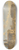 David Roberts - The Giudecca, Venice 8.25 inch art skate deck