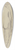 Victor Mller - Weiblicher Rckenakt mit einem Ausstellungskatalog in der Rechten vor einem Gemlde mit Aktfiguren 39.3 inch art pintail longboard deck