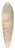 Vilhelm Hammershi - Portrt af Svend Hammershi, kunstnerens bror 39.3 inch art pintail longboard deck
