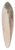 Vilhelm Petersen - A Beach by the Sound 39.3 inch art pintail longboard deck