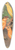W. A . Blakston - Cinnamon Canaries 39.3 inch art pintail longboard deck