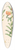 Walter Hood Fitch - Lilium Carniolicum 39.3 inch art pintail longboard deck
