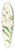 Walter Hood Fitch - Lilium lingiflorium 39.3 inch art pintail longboard deck