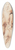 Willem Panneels - Anatomisk studie af en flet mands venstre ben set fra venstre og hans hjre ben i to forskellige positioner corch 39.3 inch art pintail longboard deck