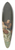 Willem Van Mieris - Tartuffe et lmire supris par Damis, fils dOrgon 39.3 inch art pintail longboard deck