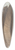 Willey Reveley - Back View of the Head of the Sphinx 39.3 inch art pintail longboard deck