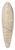 William Blake - A Woody Landscape 39.3 inch art pintail longboard deck