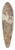 William Brenton Boggs - Cloetis 39.3 inch art pintail longboard deck