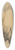 William Fowler Hopson - Academicstudy 39.3 inch art pintail longboard deck