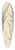 William Jackson Hooker - Tillandsia aloifolia 39.3 inch art pintail longboard deck