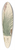 William Jackson Hooker - Tillandsia Pulchella 39.3 inch art pintail longboard deck