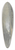 William James Mller - Landscape with windmill 39.3 inch art pintail longboard deck
