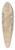 Zygmunt Waliszewski - Portrait of Kirill Zdanevich with a rabbit 39.3 inch art pintail longboard deck