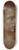 Domenico Beccafumi - Head of a Youth 8.25 inch art skate deck