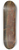 Domenico Cetto - Ansicht der Stadt Wien von der Josefstadt aus 8.25 inch art skate deck