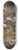 Domenico Gargiulo - Adoration Of The Magi 8.25 inch art skate deck