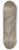 Domenico Tintoretto - Two Studies of a Reclining Female Nude 8.25 inch art skate deck