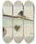Triptych art skateboard deck of Frank Edward Clarke Callorhynchus Milii Tas Elephant Fish by Frank Edward Clarke (1849-1899)