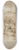 Agostino Carracci - Seated Male Nude (recto) 8.25 inch art skate deck
