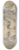 Dutch 17th Century - Head of a Young Man (recto) 8.25 inch art skate deck