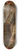 Dutch School - Christs triumphal entry into Jerusalem 8.25 inch art skate deck