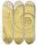 Triptych art skateboard deck of James Sowerby The Mineral Conchology Of Great Britain Pl442 by James Sowerby (1757-1822)
