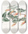 Triptych art skateboard deck of Sydenham Edwards Toothleaved Scottia by Sydenham Edwards (1768-1819)