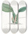 Triptych art skateboard deck of Sydenham Edwards Horned Oncidium by Sydenham Edwards (1768-1819)
