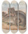 Triptych art skateboard deck of John Gould The Mammals Of Australia Pl100 by John Gould (1804-1881)