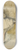 Edgar Degas - Dancer Stretching at the Bar 8.25 inch art skate deck