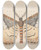 Triptych art skateboard deck of George Hudson Entomology Watercolour Pl039 by George Hudson (1867-1946)