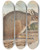 Triptych art skateboard deck of John Gould The Mammals Of Australia Pl094 by John Gould (1804-1881)