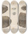 Triptych art skateboard deck of Louis Agassiz Recherches Sur Les Poissons Fossiles Pl126 by Louis Agassiz (1807-1873)