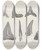 Triptych art skateboard deck of Louis Agassiz Recherches Sur Les Poissons Fossiles Pl267 by Louis Agassiz (1807-1873)