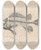 Triptych art skateboard deck of Louis Agassiz Recherches Sur Les Poissons Fossiles Pl337 by Louis Agassiz (1807-1873)