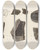 Triptych art skateboard deck of Louis Agassiz Recherches Sur Les Poissons Fossiles Pl184 by Louis Agassiz (1807-1873)