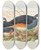 Triptych art skateboard deck of John Gould The Birds Of New Guinea And The Adjacent Papuan Islands Pl62 by John Gould (1804-1881)