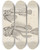 Triptych art skateboard deck of Louis Agassiz Recherches Sur Les Poissons Fossiles Pl346 by Louis Agassiz (1807-1873)