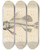 Triptych art skateboard deck of Louis Agassiz Recherches Sur Les Poissons Fossiles Pl336 by Louis Agassiz (1807-1873)