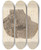 Triptych art skateboard deck of Louis Agassiz Recherches Sur Les Poissons Fossiles Pl182 by Louis Agassiz (1807-1873)