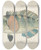 Triptych art skateboard deck of Frank Edward Clarke Notolabrus Fuscula Nz Wrasse by Frank Edward Clarke (1849-1899)