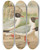Triptych art skateboard deck of Johann Friedrich Naumann Larus Minutus Pall Larus Ridibundus Larus Melanocephalus Natt Larus Minutus Pall by Johann Friedrich Naumann (1780-1857)