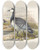 Triptych art skateboard deck of Joseph Wolf Barnacle Goose Bernicla Leucopsis by Joseph Wolf (1820-1899)