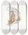 Triptych art skateboard deck of Johan Erik Vesti Boas Superficial Facial Muscles Of Echidna by Johan Erik Vesti Boas (1855-1935)